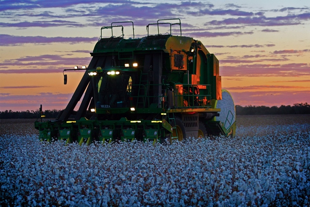 Cotton picking machine   small