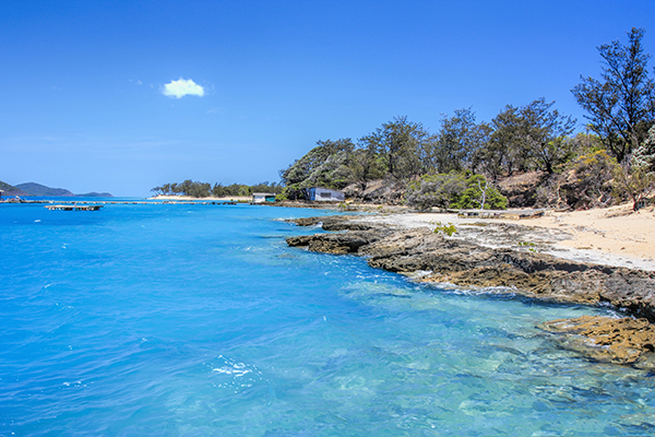 Picture of Torres Strait Islanders land