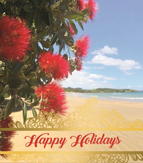 Image of beach with Happy Holidays written across the bottom