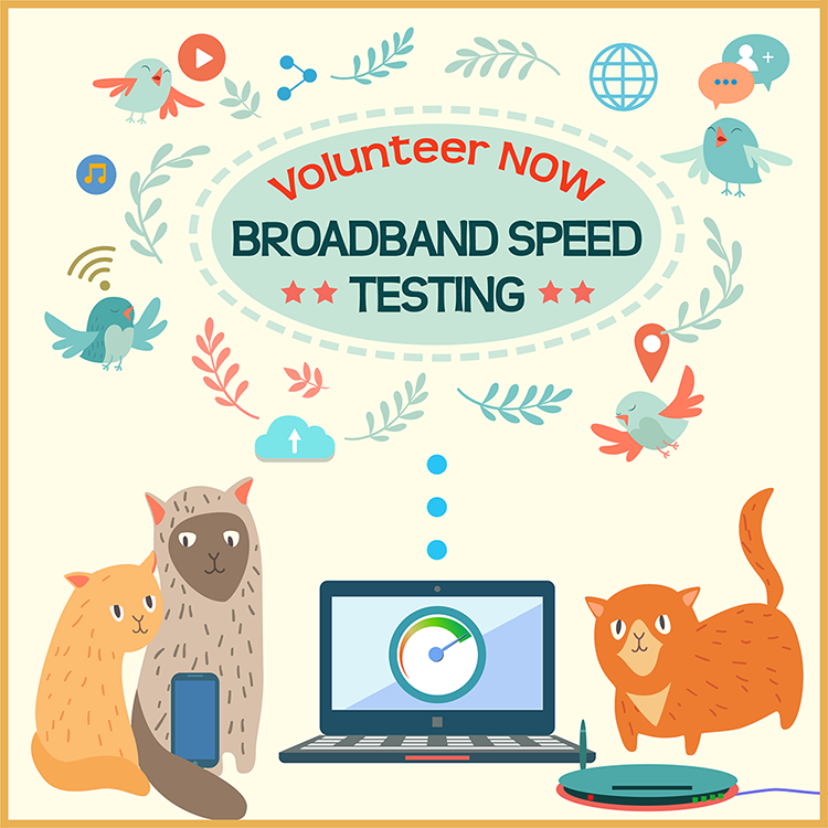 Cat sitting around laptop requesting broadband speed volunteers