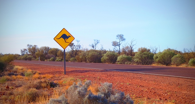 Kangaroo sign next a road in the outback