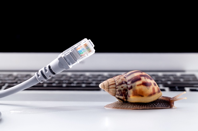 Snail sliding across a computer keyboard