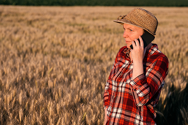 woman in check shirt talking on mobile phone, standing in field of wheat